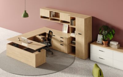 What’s New From Fríant! | Fall 2024 Launches